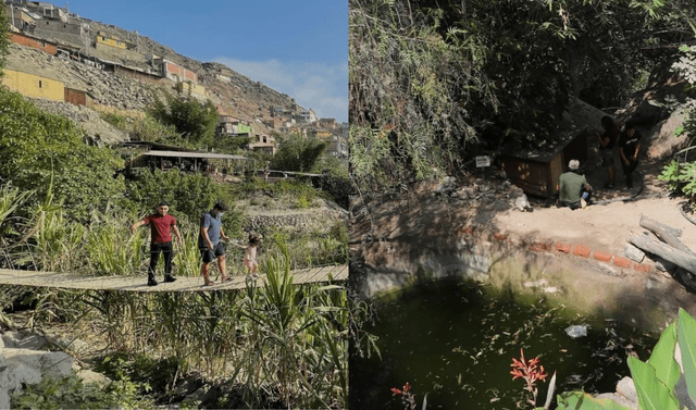 selva escondida en San Juan de Lurigancho, SJL, san juan de lurigancho, Lima, selva escondida en un cerro de san juan de lurigancho selva escondida en San Juan de Lurigancho, SJL, san juan de lurigancho, Lima, selva escondida en un cerro de san juan de lurigancho