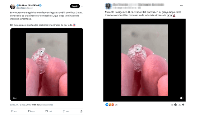 <em> Publicaciones desinformativas por las redes sociales de X y Facebook. Foto: capturas de pantalla.</em>   