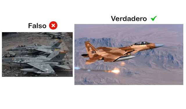 <em> Diferencias entre un caza israelí y los cazas del bulo. Foto: composición LR/Infobae</em>   