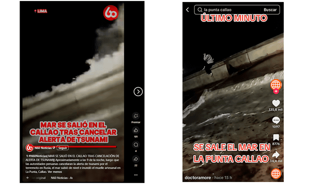 <em> Publicaciones desinformativas por las redes sociales de TikTok y Facebook. Foto: capturas de pantalla</em>   