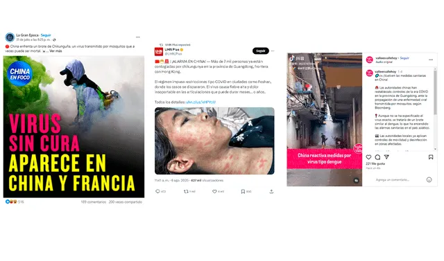 <em> Publicaciones desinformativas por las redes sociales de Facebook, X e Instagram. Foto: capturas de pantalla</em>   