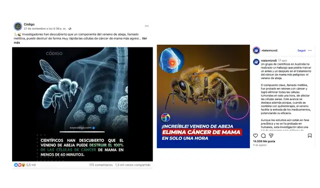 <em>Publicaciones desinformativas por las redes sociales de Facebook y e Instagram. Foto: capturas de pantalla.</em>   