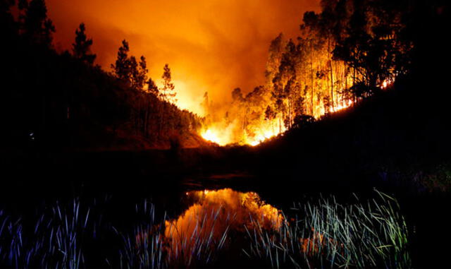 Los últimos incendios más trágicos en el mundo [FOTOS]
