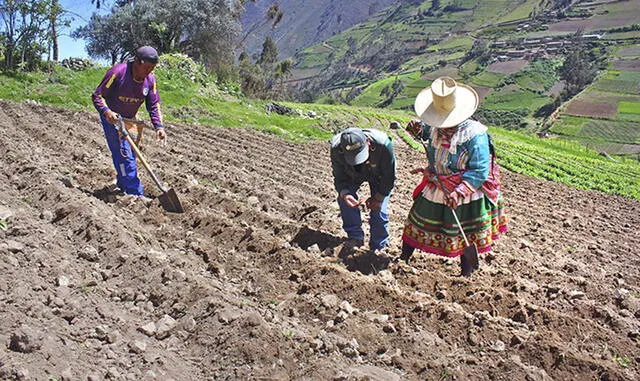 agricultura Áncash