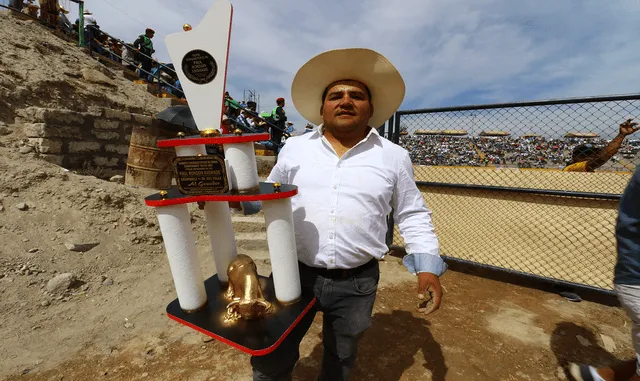 Arequipa, devoción por los toros peleadores
