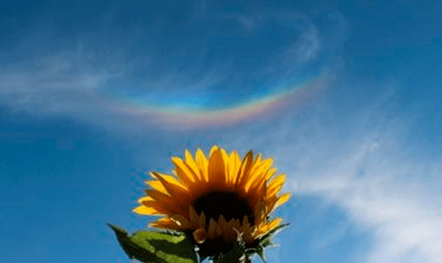 El extraño arco iris al revés que apareció en el cielo de Italia durante la pandemia [FOTOS]