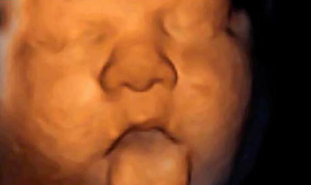 Estudio revela que los fetos no perciben sonidos a través del vientre de su madre