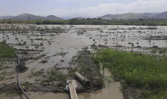 Áncash desborde del río Casma