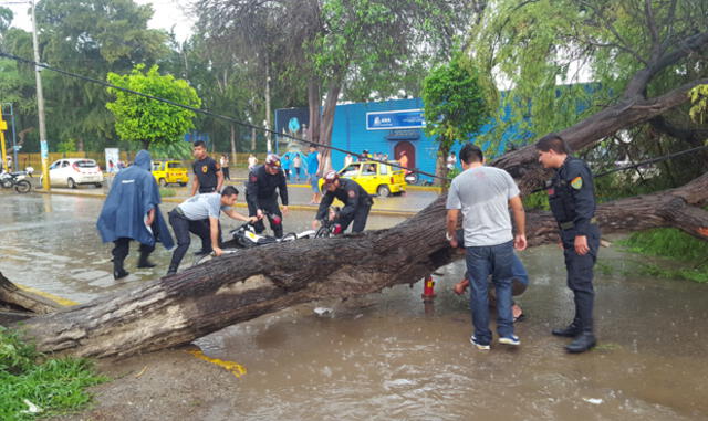Policía salvó de morir tras caída de un árbol en Chiclayo