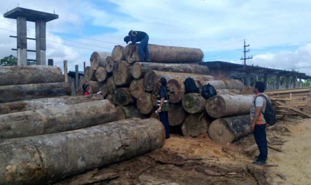 Iquitos: Policía incautó un millón y medio de pies tablares de madera 