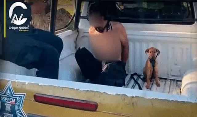 La imagen del perrito siendo trasladado con su dueño a la comisaría conmovieron los corazones de los cibernautas. Foto: composición de LR/captura de Facebook/ Chiapas Noticias