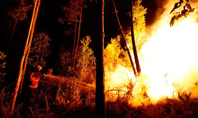 Incendio forestal en Portugal: cifra de muertos aumenta a 62 