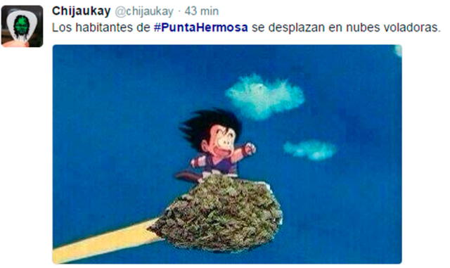 Hallan droga en Punta Hermosa y Twitter se enciende con memes | IMÁGENES