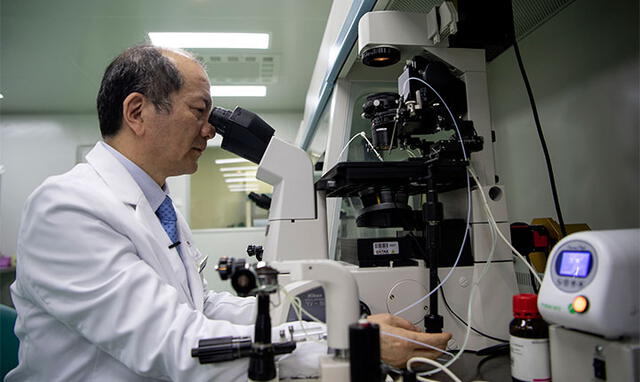 El doctor Liu Jiaen, director de un hospital de fertilidad de Pekín, maneja un microscopio. Foto: AFP.