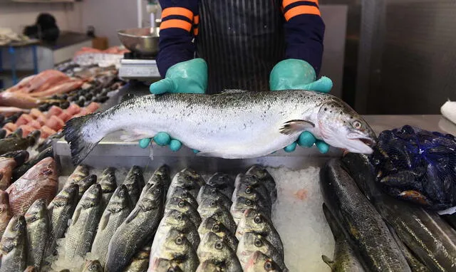 Según la Universidad de Harvard, el consumo habitual de pescado contribuye a la disminución de la presión arterial y a la reducción de la formación de placas de grasa en las arterias. Foto: Freepik   