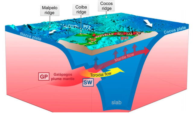 Ilustración de la pluma mantélica de Galápagos que se extiende hasta Panamá. Foto: Universidad de Sidney
