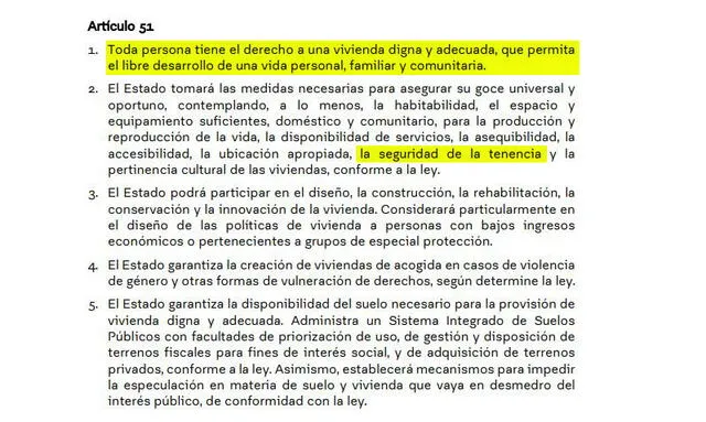 Artículo 51. Foto: captura del documento de la propuesta de Constitución de Chile.