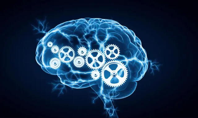 Las interfaces cerebro-computadora muestran cómo la <a href="https://larepublica.pe/ciencia/2024/09/03/esta-es-la-vitamina-que-necesita-tu-cerebro-para-mejorar-la-memoria-en-los-examenes-segun-estudio-de-harvard-208350">actividad del cerebro</a> varía día a día.   
