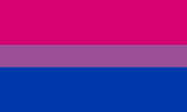 Bandera bisexual - Orgullo bisexual