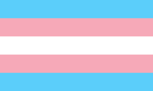 Bandera trans - Orgullo trans