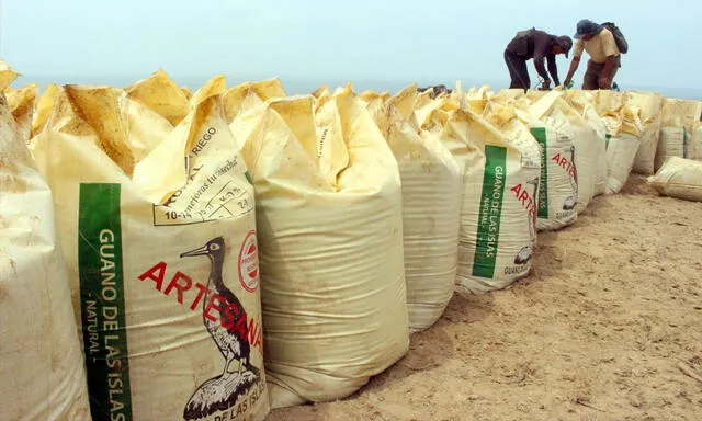 Tacna: Agro Rural comercializará 90 toneladas de guano de las islas