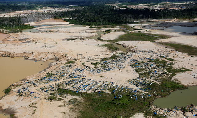 Depredación en la reserva de Tambopata por la minería ilegal [FOTOS]