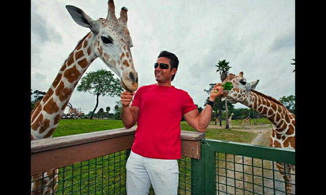 Fernando Colunga cumple 51 años: su radical cambio físico a través de los años | FOTOS