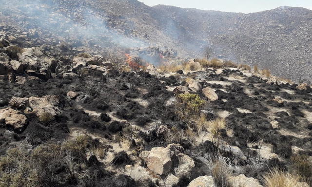 Arequipa: incendios dañaron más de 7.000 hectáreas de vegetación en tres años