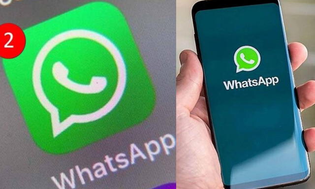 Es importante proteger nuestros datos cuando utilizamos WhatsApp. Foto: composición/AndroidPhoria