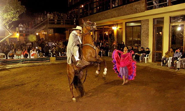 Banquete y show en honor al caballo de paso peruano