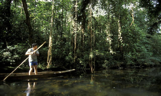 Visitar El Cerrado también es una oportunidad para aprender sobre la importancia de la conservación ambiental. Lugares como el Parque Nacional Chapada dos Veadeiros ofrecen paisajes espectaculares. Foto: WWF   