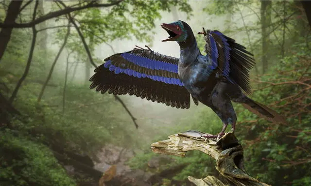 Estudios sostienen que los Archaeopteryx albersdoerferi son la especie prehistórica más cercana a las aves modernas. Foto: AZ Animals Estudios sostienen que los Archaeopteryx albersdoerferi son la especie prehistórica más cercana a las aves modernas. Foto: AZ Animals
