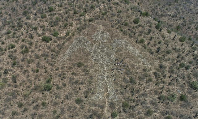 Geoglifo mide 60 x 59 metros. Foto: DDC Lambayeque.