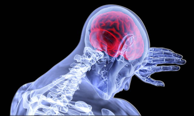  "La encefalitis es la inflamación del cerebro", informa BBC News Mundo.<br>    