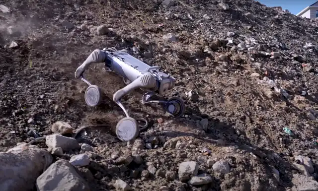 La empresa china Unitree Robotics ha presentado el perro robot B2-W, un cuadrúpedo todoterreno diseñado para transportar adultos y realizar acrobacias en terrenos irregulares. Foto: Unitree Robotics La empresa china Unitree Robotics ha presentado el perro robot B2-W, un cuadrúpedo todoterreno diseñado para transportar adultos y realizar acrobacias en terrenos irregulares. Foto: Unitree Robotics