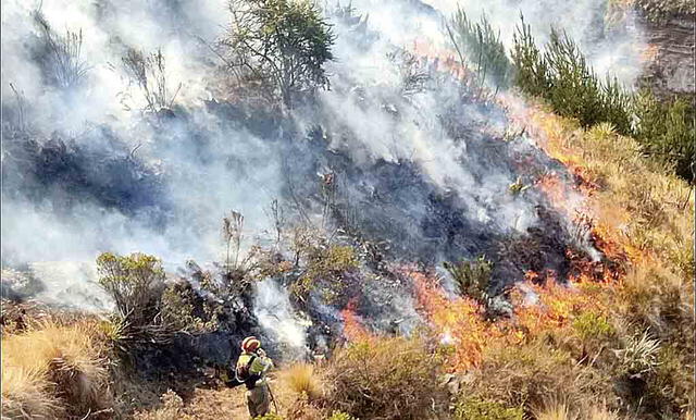 desastre. Incendio ocurrido en Quispicanchi se barrió 3000 hectáreas de bosques secos.
