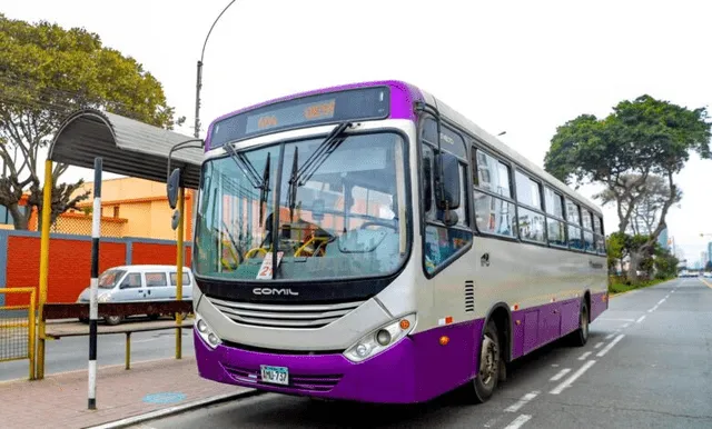 Plan de servicio provisional por obras de la Línea 2. Foto: MTC   