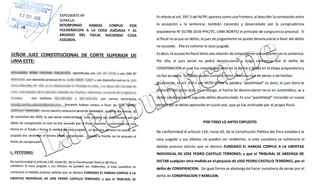  Extractos del habeas corpus presentado a favor de Pedro Castillo | Foto: LR.    