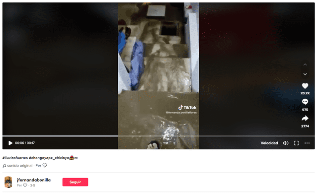  Video de agua desplazándose por las escaleras de una casa. Foto: captura en TikTok / @jfernandabonilla.    