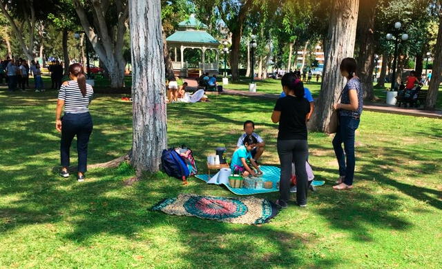  En los parques de Miraflores, es costumbre realizar pícnics familiares. Foto: Municipalidad de Miraflores 