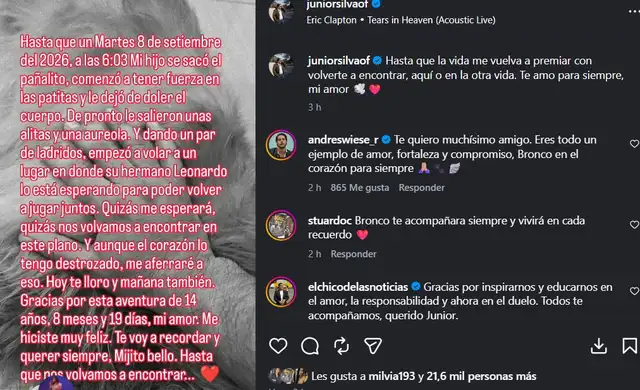 Colegas del medio artístico han mostrado su apoyo a Junior Silva tras esta desgarradora pérdida. Colegas del medio artístico han mostrado su apoyo a Junior Silva tras esta desgarradora pérdida.