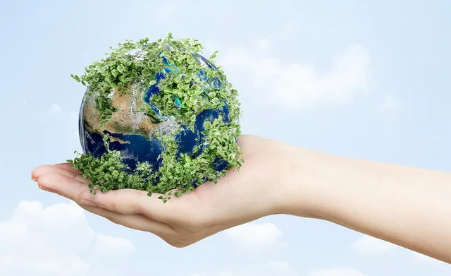  Día Mundial del Medio Ambiente: conoce las razones por las que se celebra este día. Foto: rawpixel   
