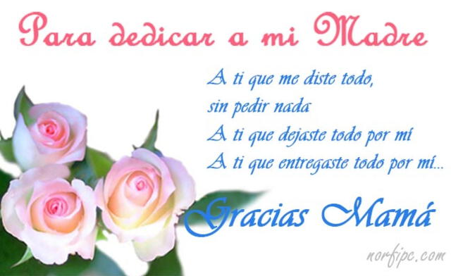  Día de la Madre en Colombia: Dedicatoria para mamá. Foto:    