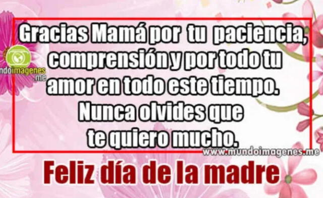  Día de la Madre en Colombia: dedicatoria para mamá. Foto: Mundoimágenes    