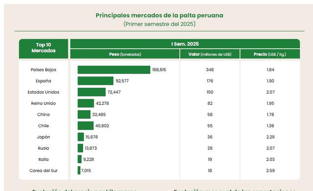 Ranking de los principales mercados de palta peruana en 2025. Foto: Fresh Fruit<br> Ranking de los principales mercados de palta peruana en 2025. Foto: Fresh Fruit<br>