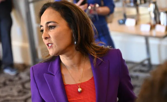Harmeet Dhillon, Justice Department Assistant Attorney General, said that the investigations are expensive and overly-broad. Photo: AFP News. Harmeet Dhillon, Justice Department Assistant Attorney General, said that the investigations are expensive and overly-broad. Photo: AFP News.