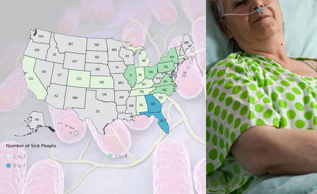 Elder people are on the high-risk group and the cases are spreading across the U.S. due to cucumbers infection. Photo: GLR Composition / CNN / Freepik / CDC Elder people are on the high-risk group and the cases are spreading across the U.S. due to cucumbers infection. Photo: GLR Composition / CNN / Freepik / CDC