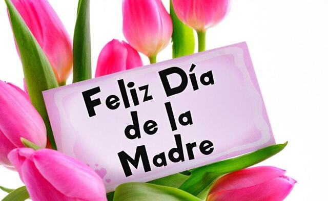 Día de la madre, las mejores frases para dedicar.