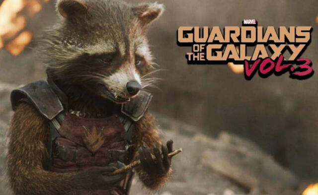 El mapache podría morir en la nueva película de Guardianes de la Galaxia.