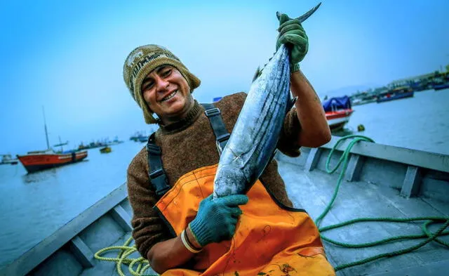 Gremis de pescadores artesanales buscan participar de nuevo reglamento para la protección de las 5 millas marinas. Foto: el regional de Piura    